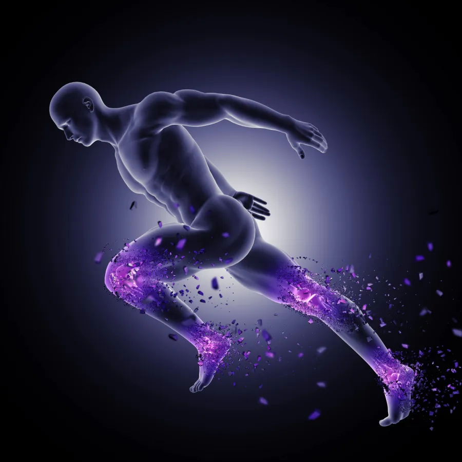 Bone, Joint And Muscles
